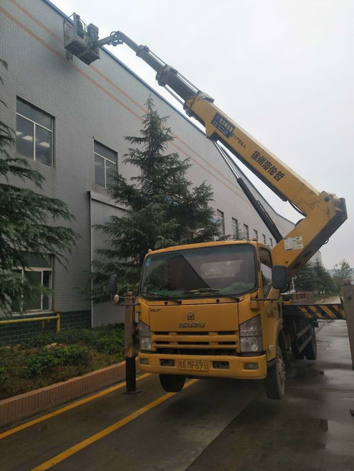 復興路路燈車 升降車出租,閱馬場轉向靈活高空車出租