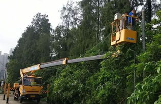 龍巖機械設備租賃價格