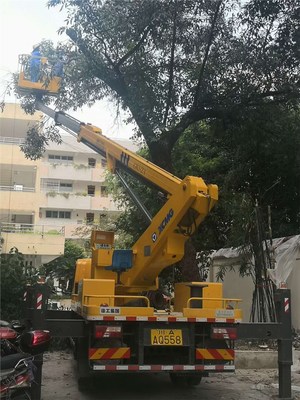昆明路燈車出租 園林修剪作業車租賃 升降車租賃
