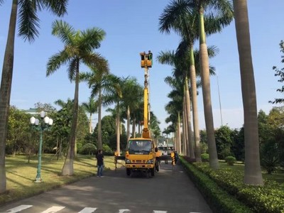 珠海香洲高空車(chē)、路燈車(chē)與升降車(chē)出租服務(wù)詳解