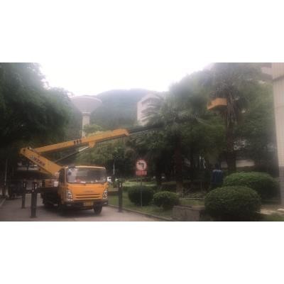 臺(tái)山地區(qū)升降機(jī)與自行走高空車出租行情價(jià)格分析